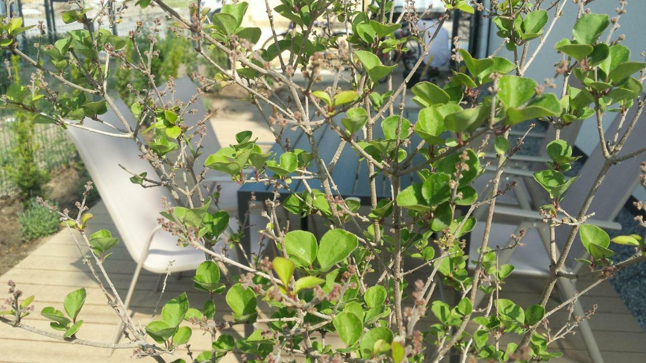 Sea Suite Garden & Pines Łukęcin المظهر الخارجي الصورة